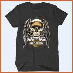 Camiseta Infantil Harley Davidson II-0
