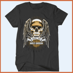 Camiseta Infantil Harley Davidson II