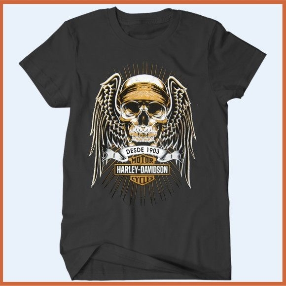 Camiseta Harley Davidson II-0