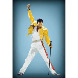 Placa Decorativa Freddie Mercury