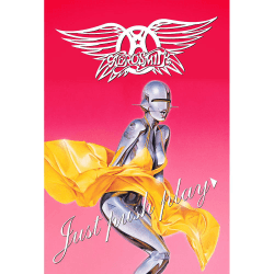 Placa Decorativa Aerosmith